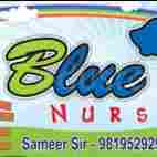 Blue Bell Nursery Nagpada preschool logo