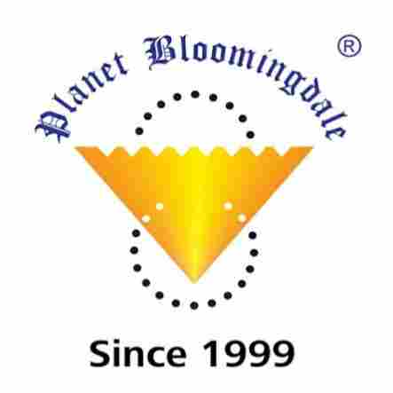 Planet Bloomingdale preschool logo