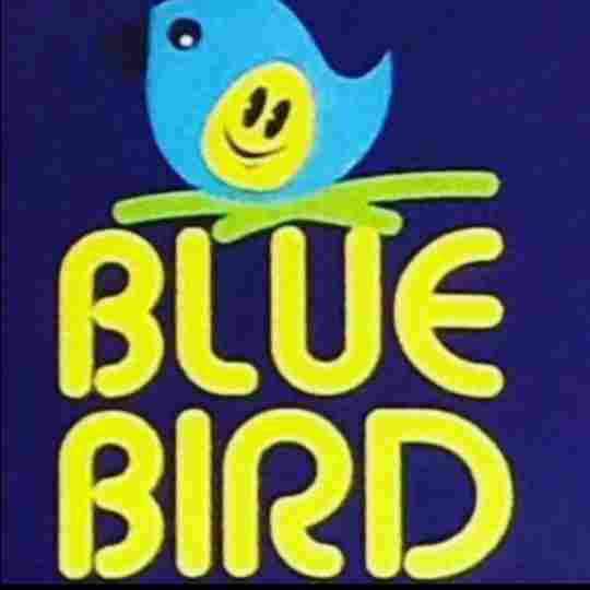 Bluebird Preschool & Daycare preschool logo