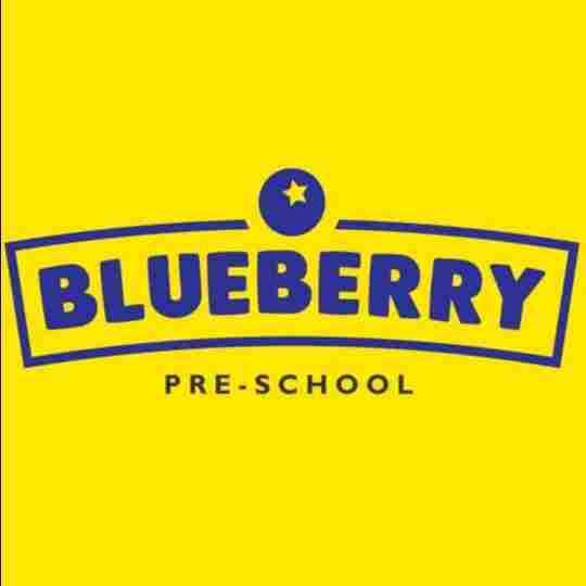 Blueberry Pre School preschool logo